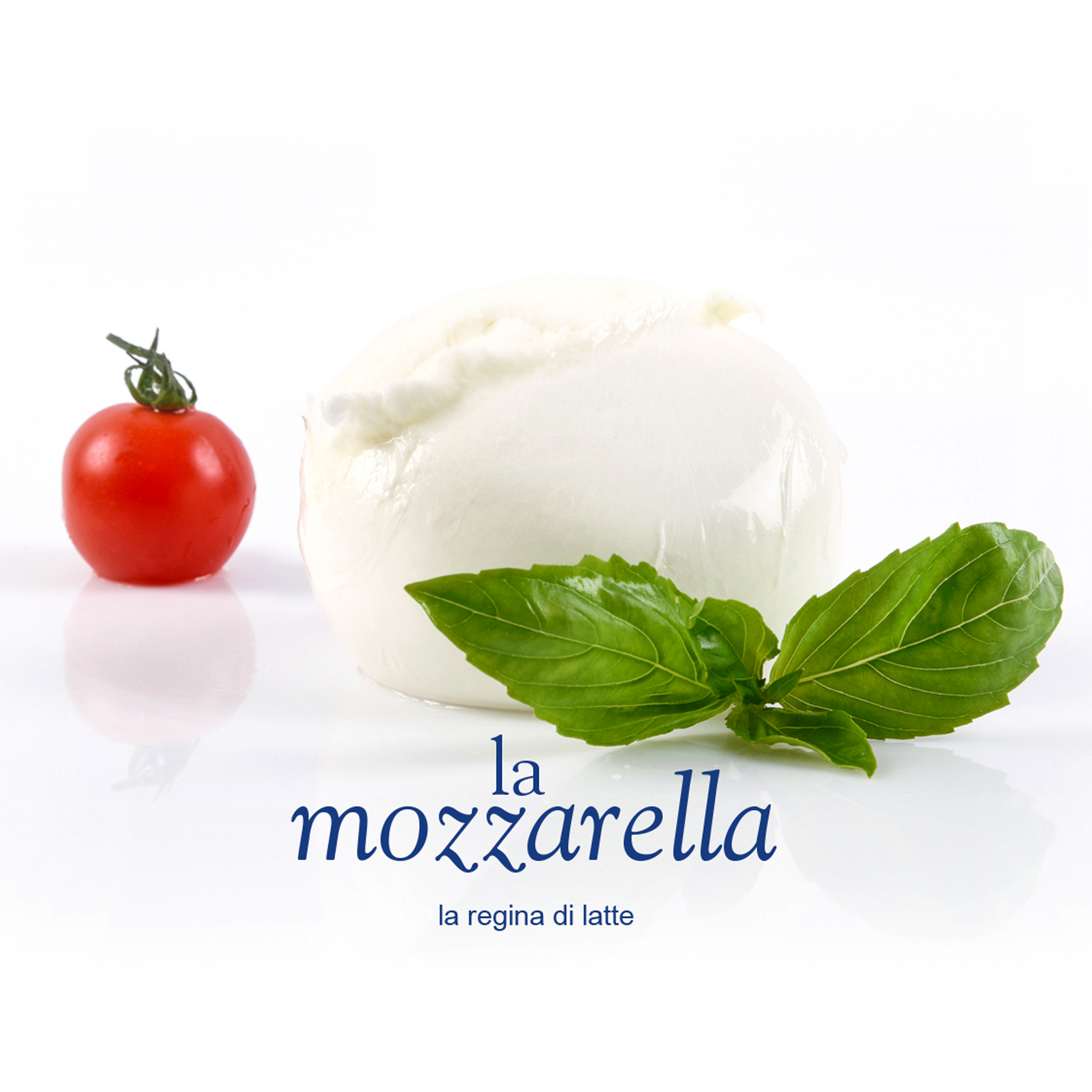 Unica | Mozzarella Deliziosa di Bufala 250g