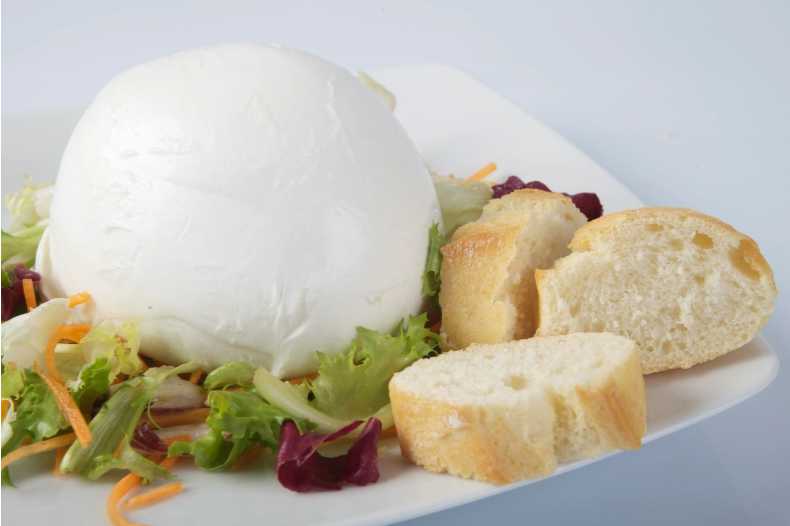 burrata-und-mozzarella-richtig-geniessen-1